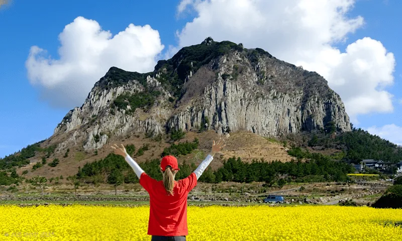 Volcanic foothills of Mt Hallasan seen on a south-west tour of Jeju Island Korea, South Korea